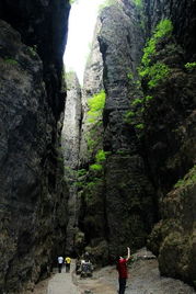 玩在野三坡的博客