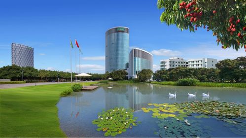 全國政協(xié)委員 三棵樹董事長洪杰呼吁 購買指定范圍綠色建材 享受10 財政直補(bǔ)