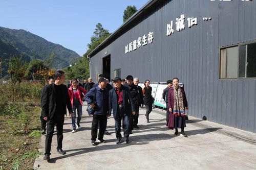 喜迎重陽,安康中院的老前輩在這兒過節(jié)......